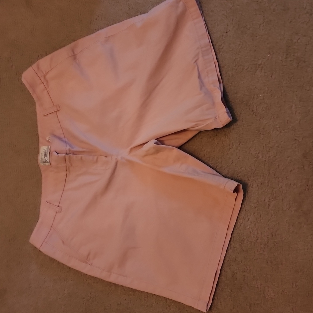 J Crew Shorts  - EUC